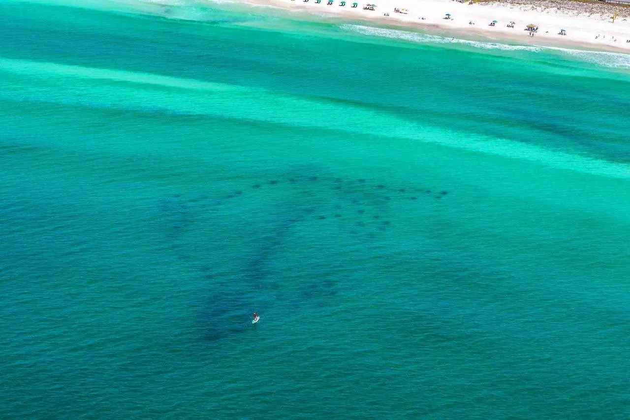 Gulf Crest #7 Apartment Destin 0*,  United States